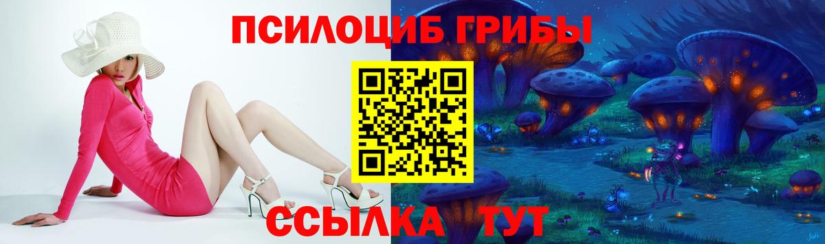 Димитровград  Псилоцибиновые грибы Magic Shrooms  Галлюциногенные грибы Psilocybe  Вход с VPN 